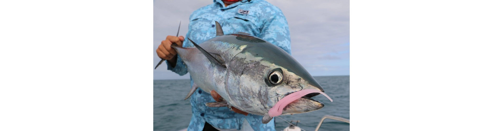 Tuna Season Is In Full Swing
