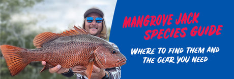 Mangrove Jack Species Guide