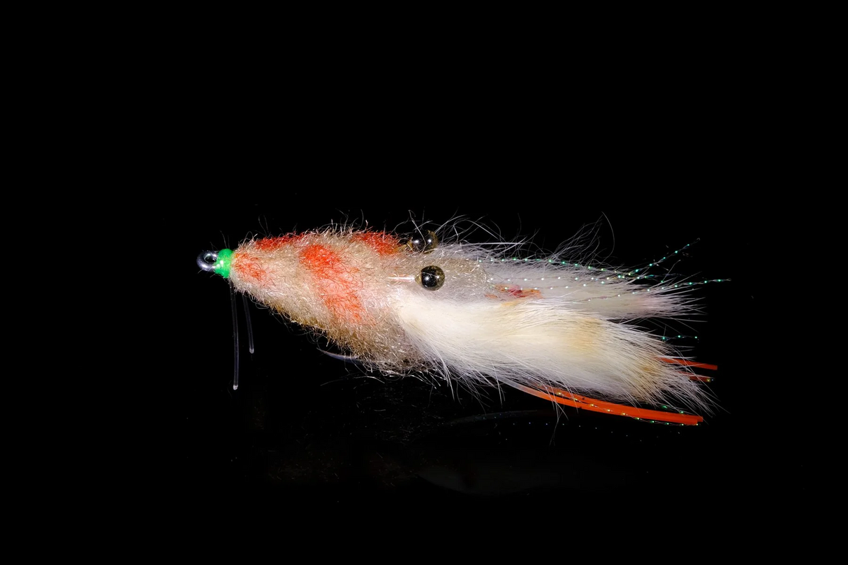 Manic Fly Mangrove Crab