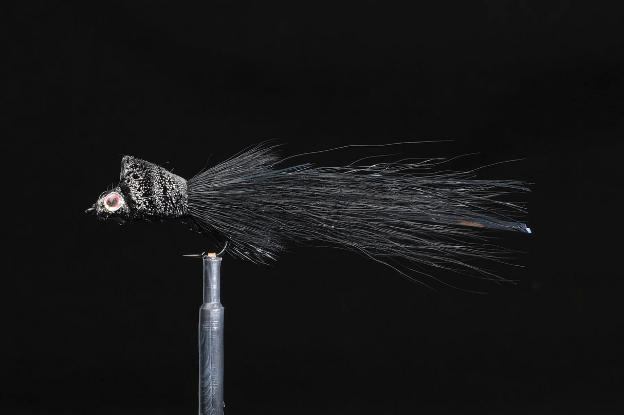 Manic Fly Mfc Hathazy's Wedge Head