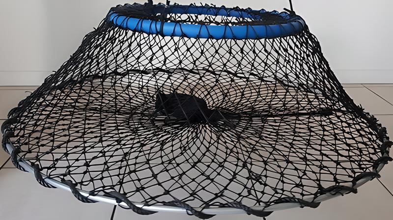 Hayes Crab Pot All Nighter