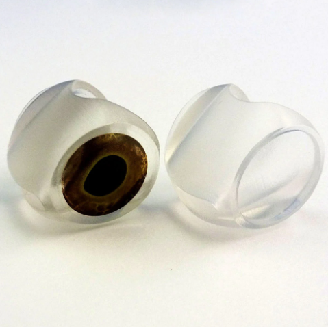 Fish Skull Fish Mask >