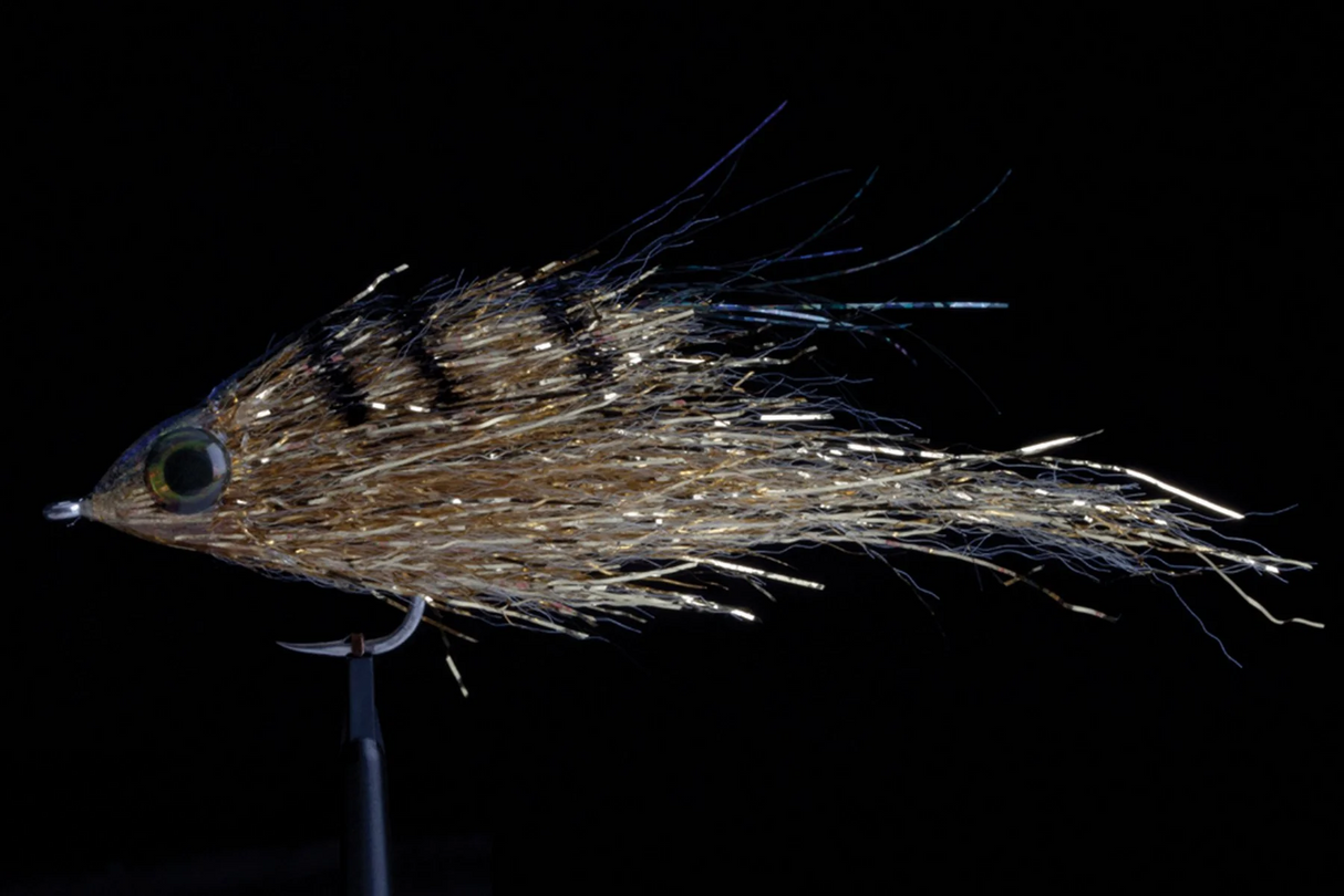 Manic Fly Micah's Gold Bomber