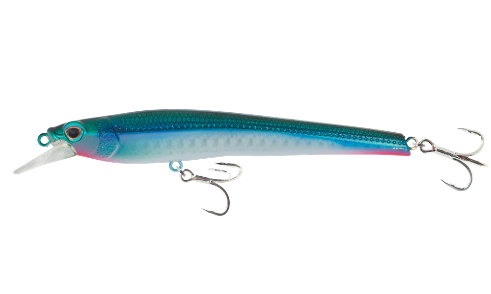 Nomad Shikari 145mm 30g Shallow Diver Hard Body Lure [cl:candy Pilchard]