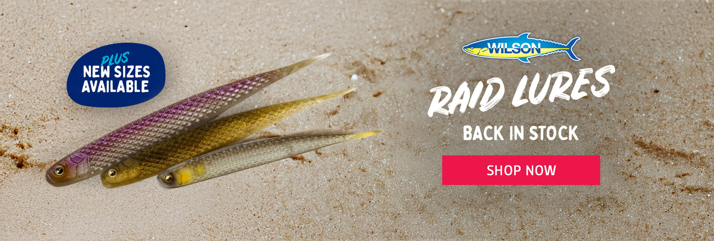 Wilson Raid soft plastic lures new sizes available and back in stock at Fisho’s Tackle World Hervey Bay