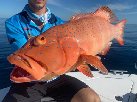 Weekly Fishing Report - 14th January 2021