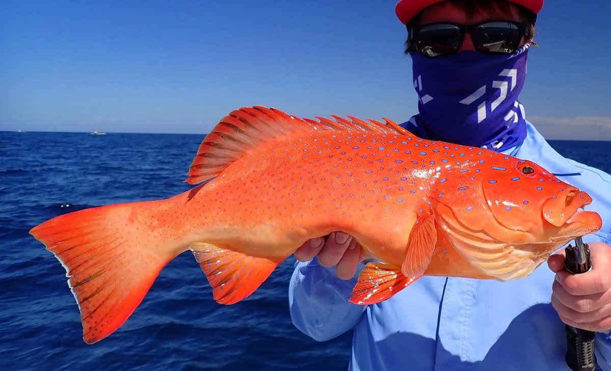 Weekly Fishing Report - 17th September 2020 – Fisho's Tackle World