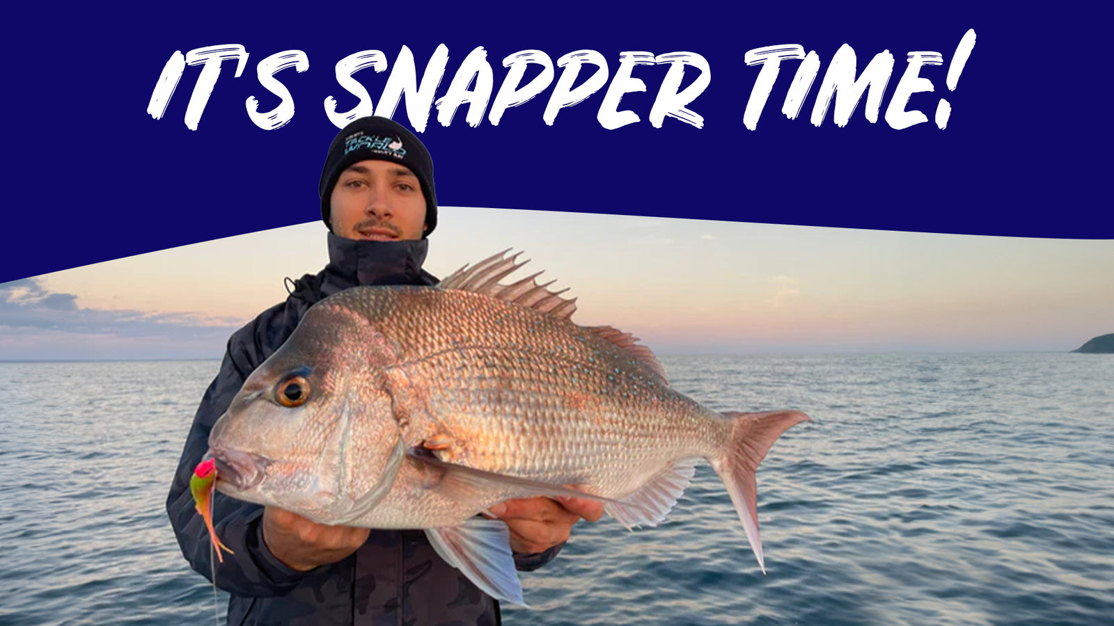 Sneaky Snapper Tactics - Fisho's Tackle World