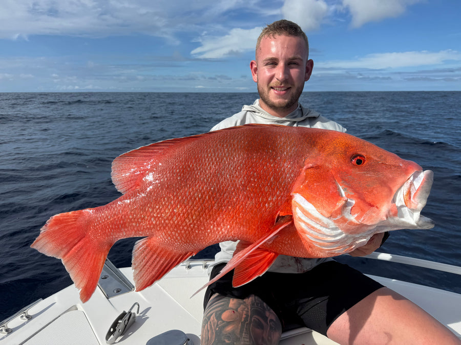 Hervey Bay Weekly Fishing Report – Fisho's Tackle World