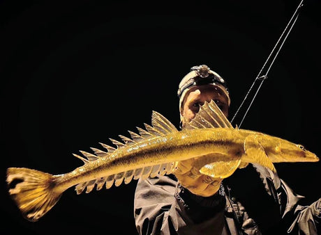 Fisho’s Weekly Fishing Report  – 25th May, 2023