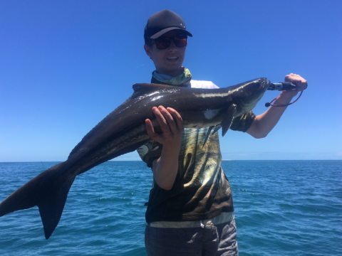 Weekly Fishing Report - 31st January 2019
