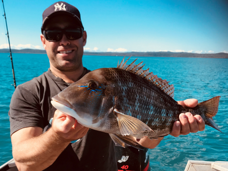 Weekly Fishing Report - 5th July 2018