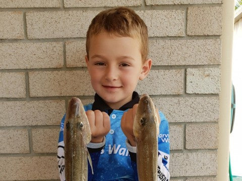 Weekly Fishing Report - 25th September 2018