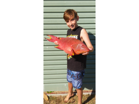 Weekly Fishing Report - 10th May 2018