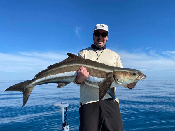 Fisho’s Weekly Fishing Report  – 7th July, 2023