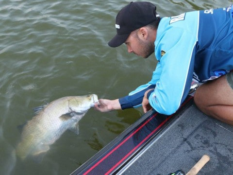 Weekly Fishing Report - 8th November 2018 – Fisho's Tackle World