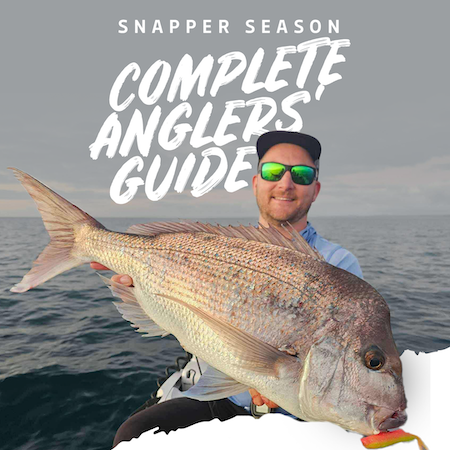 Snapper Season in Hervey Bay: Complete Angler’s Guide