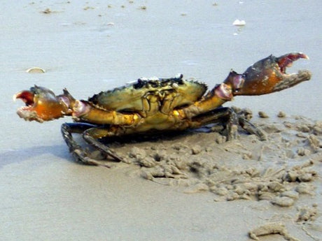 Weekly Fishing Report - 5th March 2020