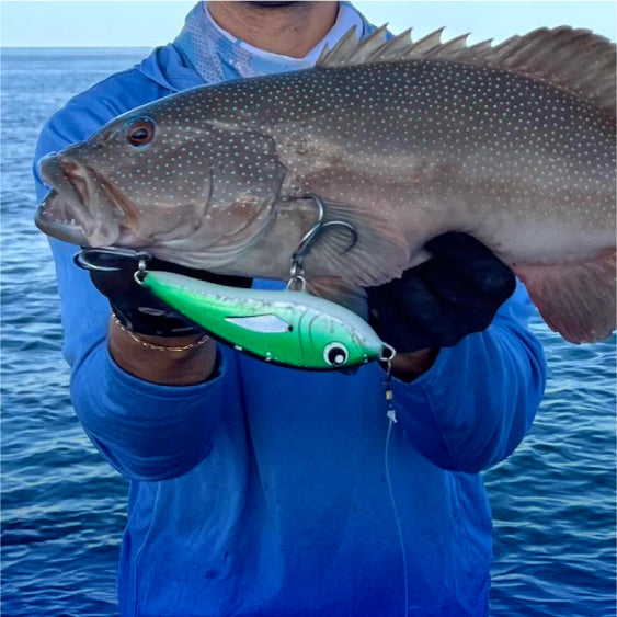 Fishing Lures – Fisho's Tackle World