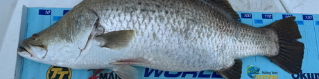 Fish Measures & Brag Mats