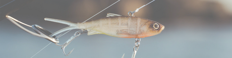Vibe Lures