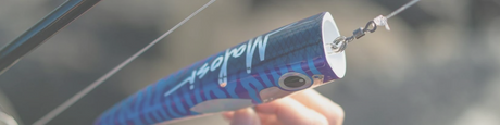 Top Water Lures