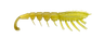 Rapala Crush City The Imposter 2.5" Soft Plastic Lure [cl:banana  Prawn]