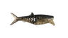 Rapala Crush City Infiltrator 5" Soft Plastic Lure [cl:black Gold]