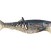Rapala Crush City Infiltrator 5" Soft Plastic Lure [cl:real Shad]