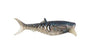Rapala Crush City Infiltrator 5" Soft Plastic Lure [cl:real Shad]