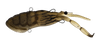 Daiwa Steez 90 19g Soft Shell Vibe Lure >^
