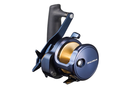 Daiwa 25 Saltiga Overhead Reel [sz:35]