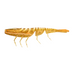 Daiwa Baitjunkie 7" Prawn Soft Plastic Lure [cl:chilli Prawn]