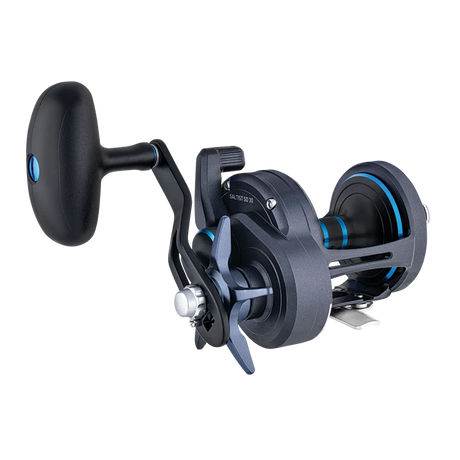 Daiwa 25 Saltist Sd Overhead Reel [sz:15]