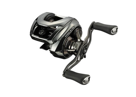 Daiwa 24 Steez Sv Tw 100h Baitcaster Reel