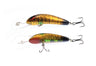 Smak Brolga 65mm Deep Diver Hard Body Lure [cl:gold Rush]