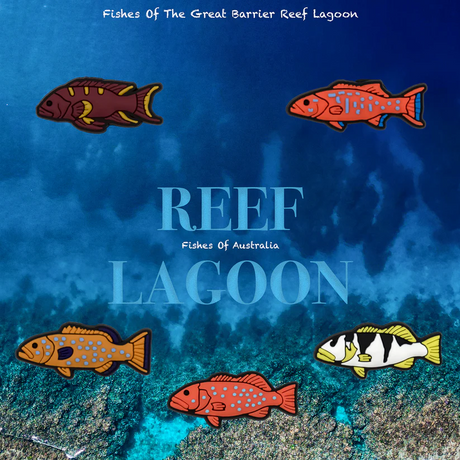 Reef Lagoon Charm Pack [cl:tropical Coral Trout]