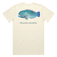 Reef Lagoon T-shirt Ss Tee Blackspot Tuskfish Natural [sz:s]