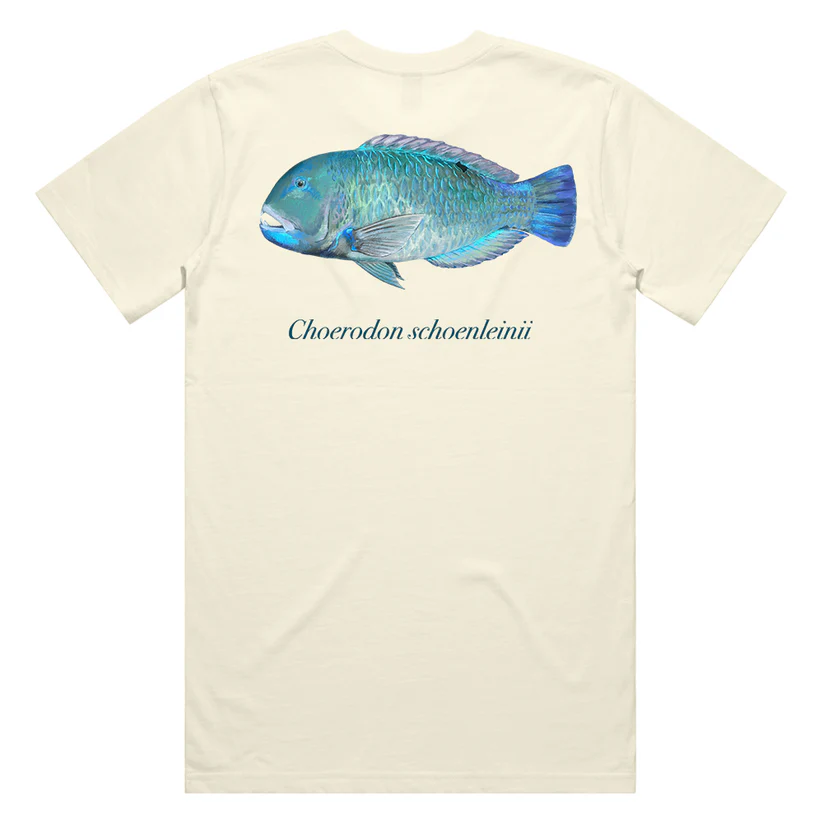 Reef Lagoon T-shirt Ss Tee Blackspot Tuskfish Natural [sz:s]