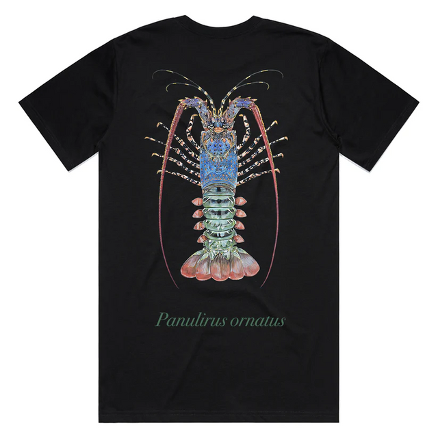Reef Lagoon T-shirt Ss Tee Ornate Crayfish Black [sz:s]