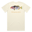 Reef Lagoon T-shirt Ss Tee Footballer Coral Trout Natural [sz:s]