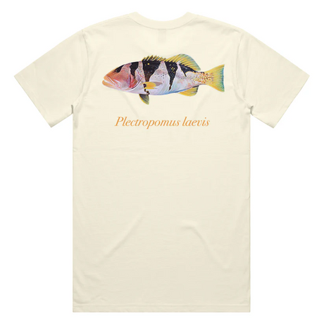 Reef Lagoon T-shirt Ss Tee Footballer Coral Trout Natural [sz:s]