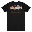 Reef Lagoon T-shirt Ss Tee Footballer Coral Trout Black [sz:s]