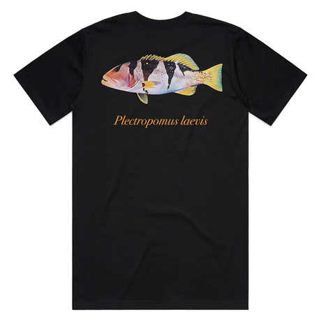 Reef Lagoon T-shirt Ss Tee Footballer Coral Trout Black [sz:s]