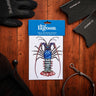 Reef Lagoon Decal Sticker A5 [cl:ornate Rock Lobster]