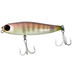 Jackson Riskbait 70mm Floating Stickbait Lure > [cl:keb]