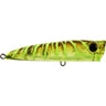 Bassday Backfire 65mm Popper Lure >^ [cl:c137]
