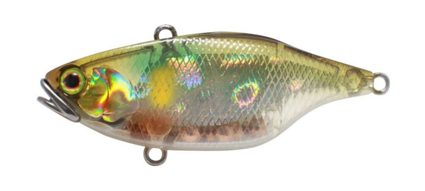 Appât Vibrant Jackall TN 60 Regular - Wabisabi Or/Noir - Leurre Coulant 60mm