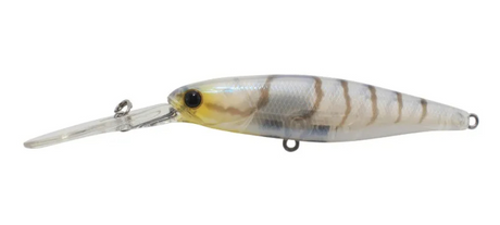 Jackall Hank Tune Squirrel 79mm 10.6g Jerkbait Hard Body Lure [cl:suji Shrimp]