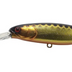 Jackall Hank Tune Squirrel 79mm 10.6g Jerkbait Hard Body Lure [cl:sparkle Gold]